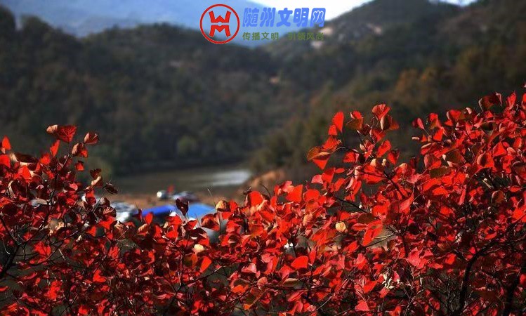 ΢ͼƬ_20181105110934.jpg