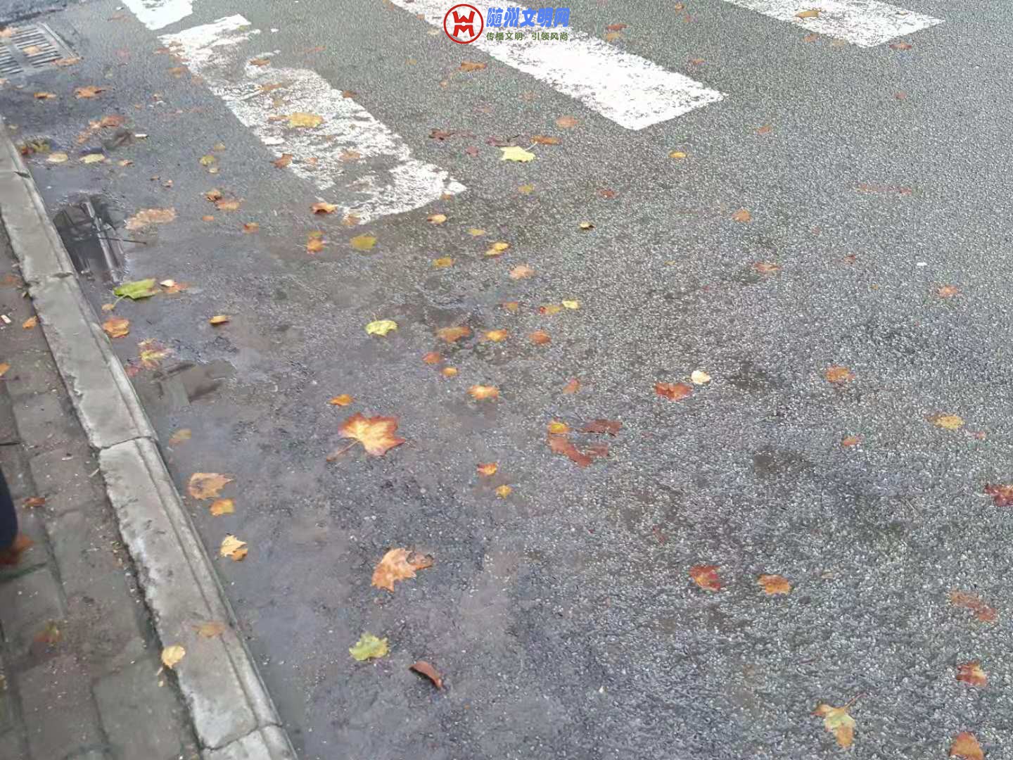 微信图片_20181106222058.jpg