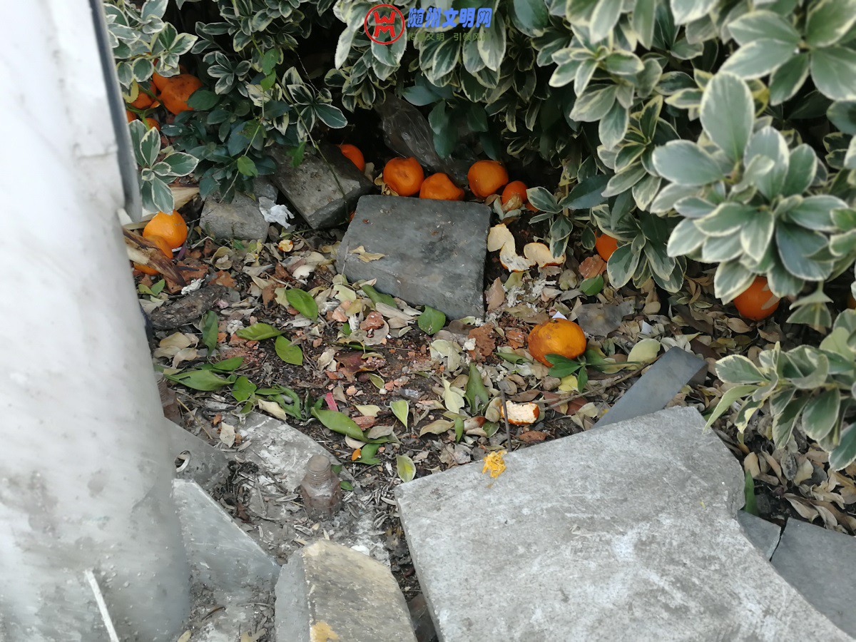 ΢ͼƬ_20181123103255.jpg