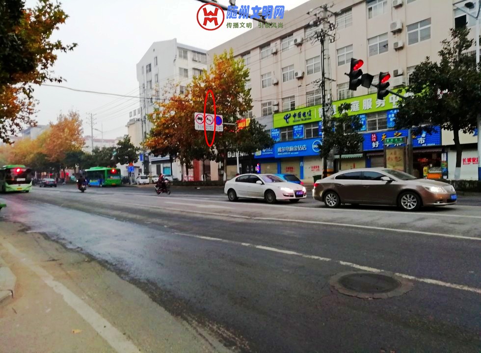 conew_img_20181128_070957_conew1.jpg
