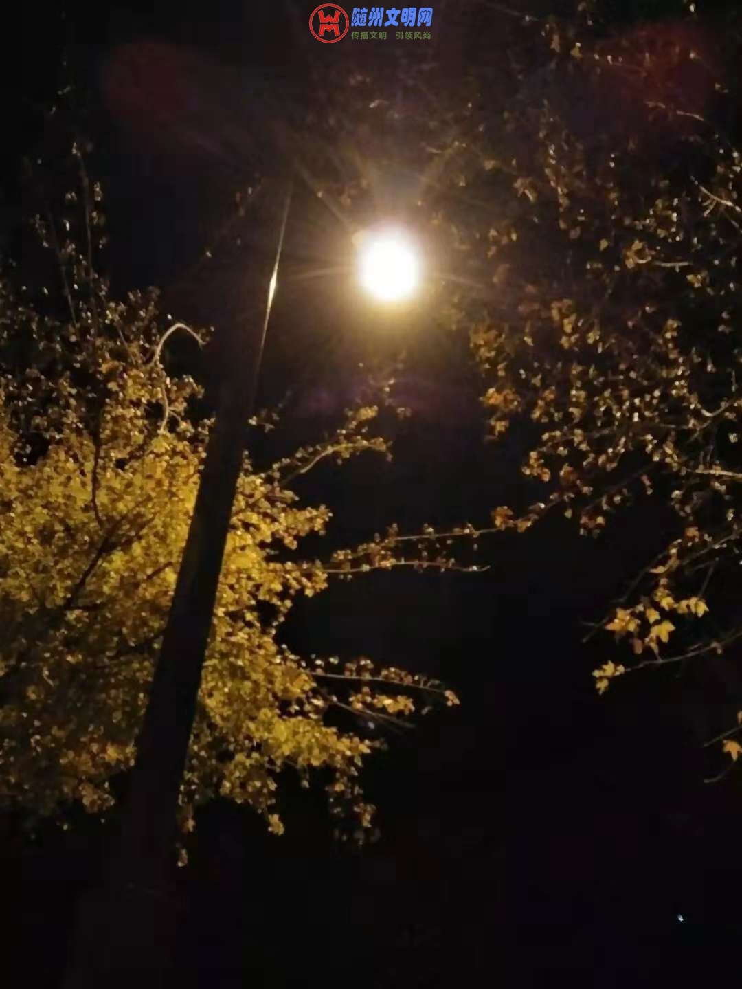 ΢ͼƬ_20181203215255.jpg