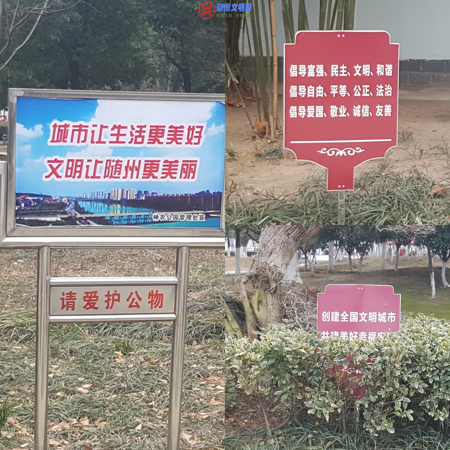 ΢ͼƬ_20190103084308 - .jpg