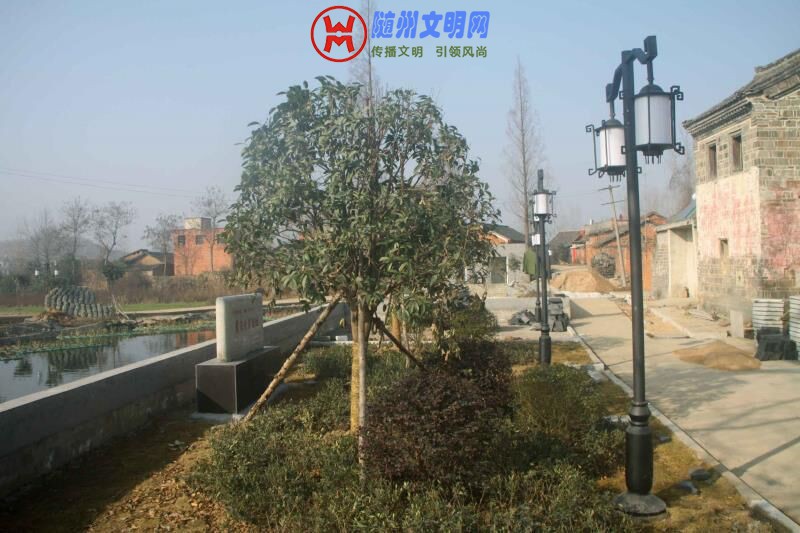 QQ图片20190116171422.jpg
