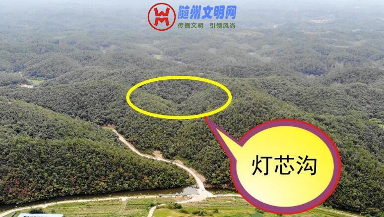TIM截图20190125084636.jpg