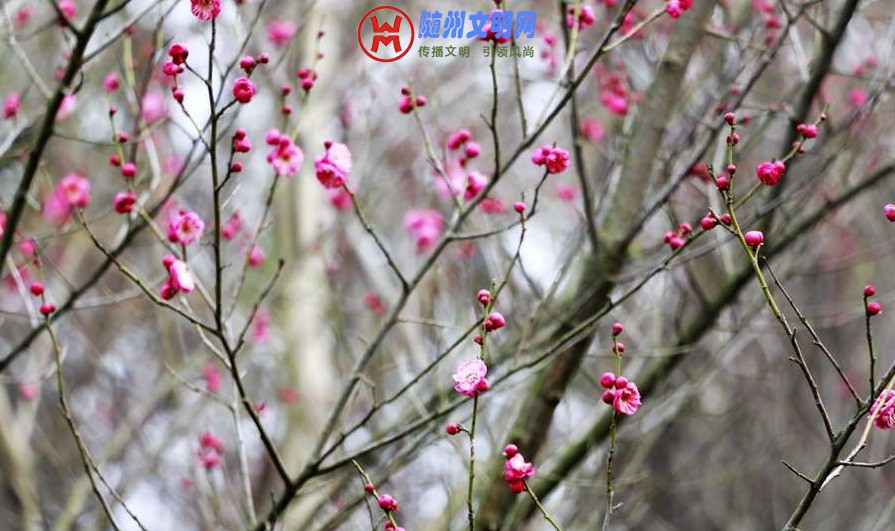 155113vqqw7fw7zx4q57w4.jpg
