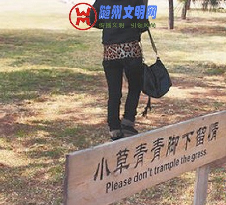 t01eea2e4a5738a7581.jpg