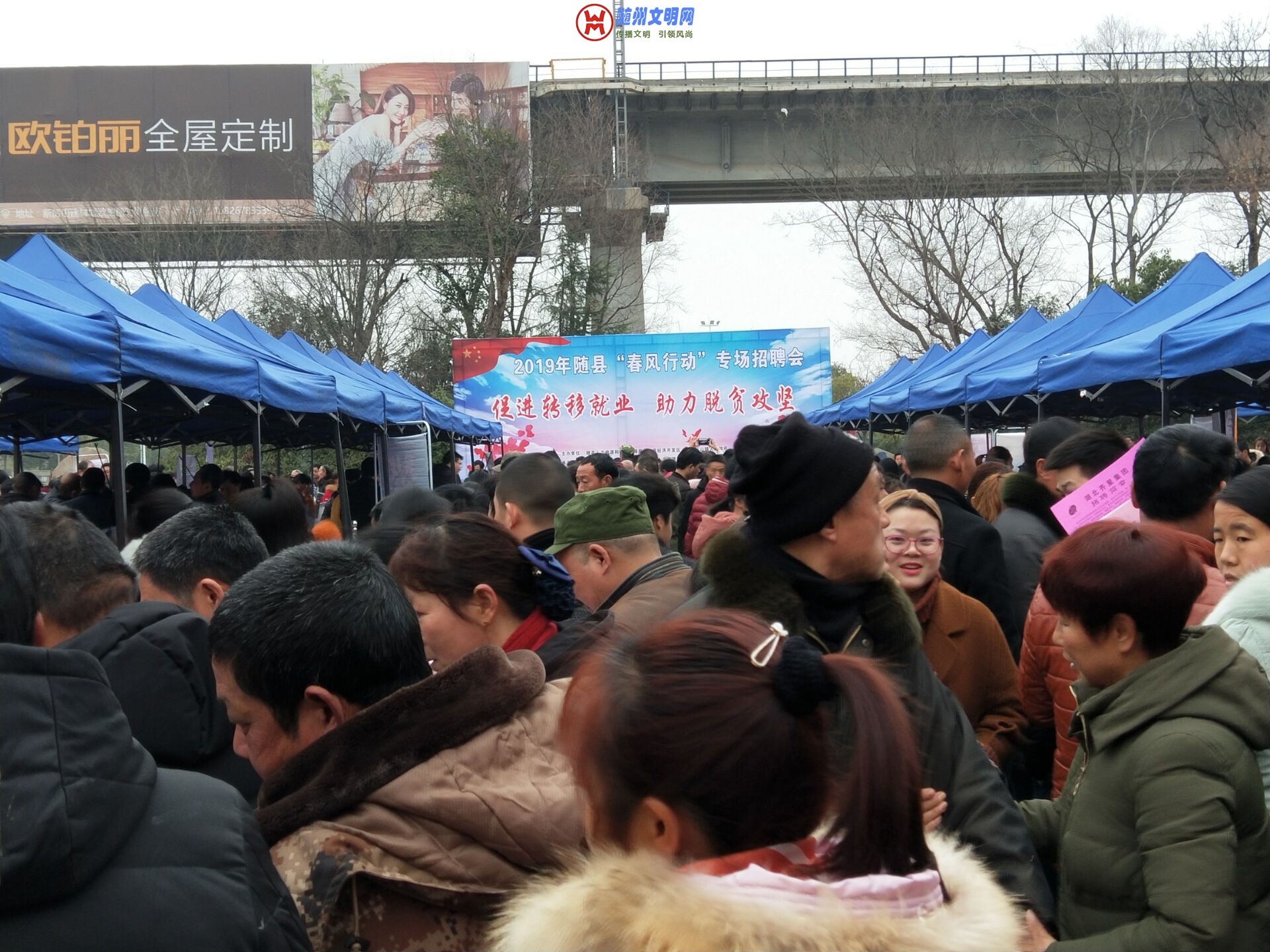 QQ图片20190226153407.jpg