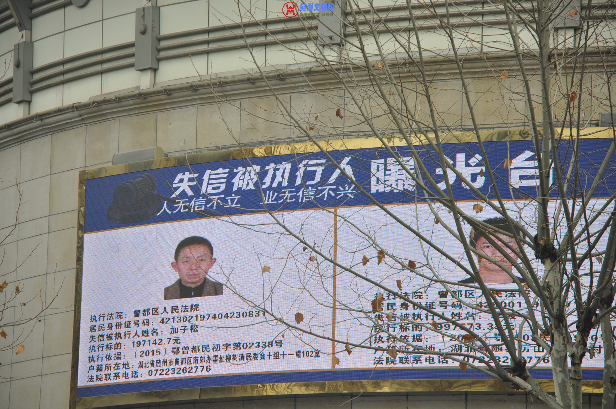 DSC_0098.JPG
