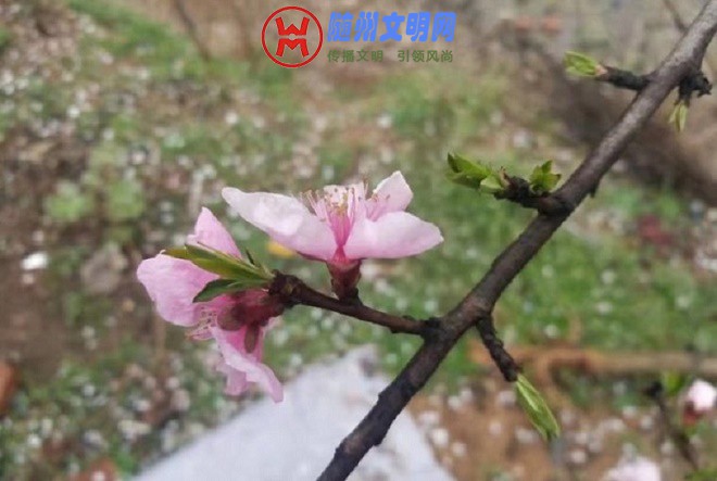 094040v6rw43rr2wy43y24.jpg.thumb - .jpg