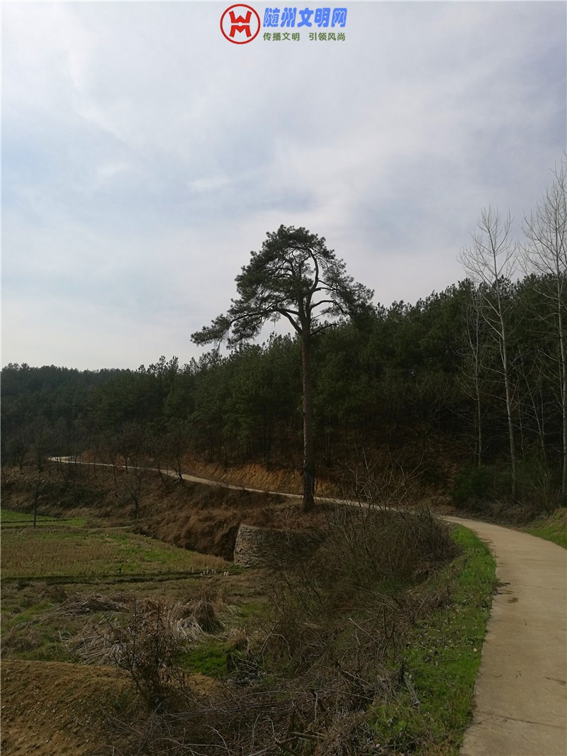 IMG_20190315_102207.jpg