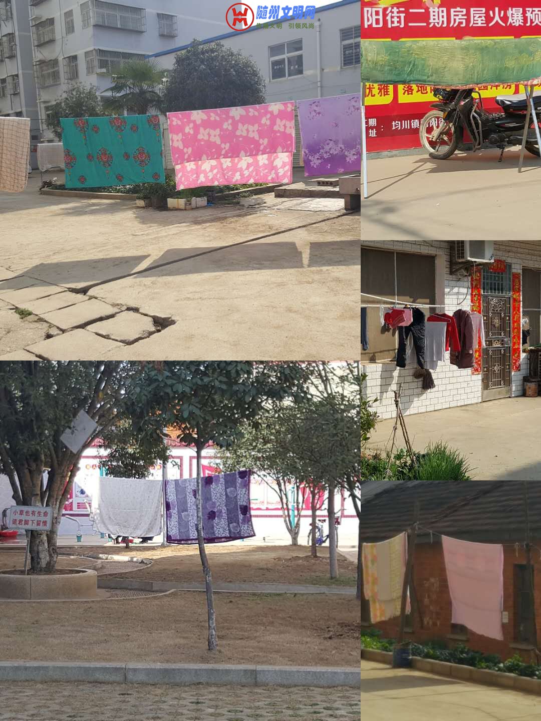 微信图片_20190320215150.jpg