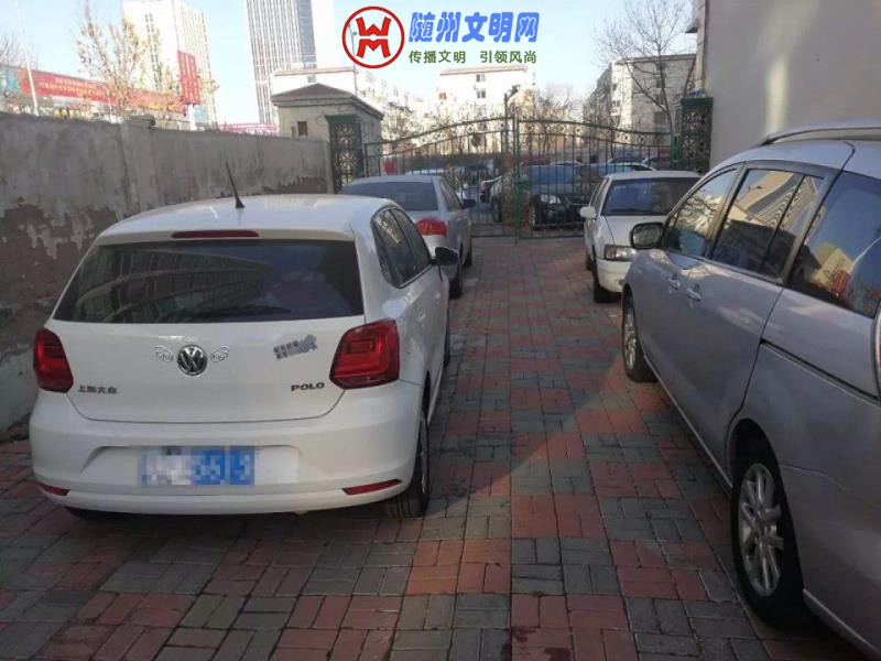 微信图片_20190321182236.jpg