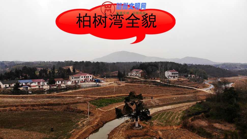 QQͼ20190317215301.png