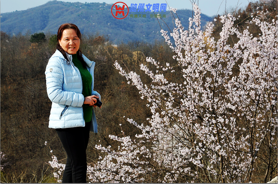 QQ截图20190321082854.png