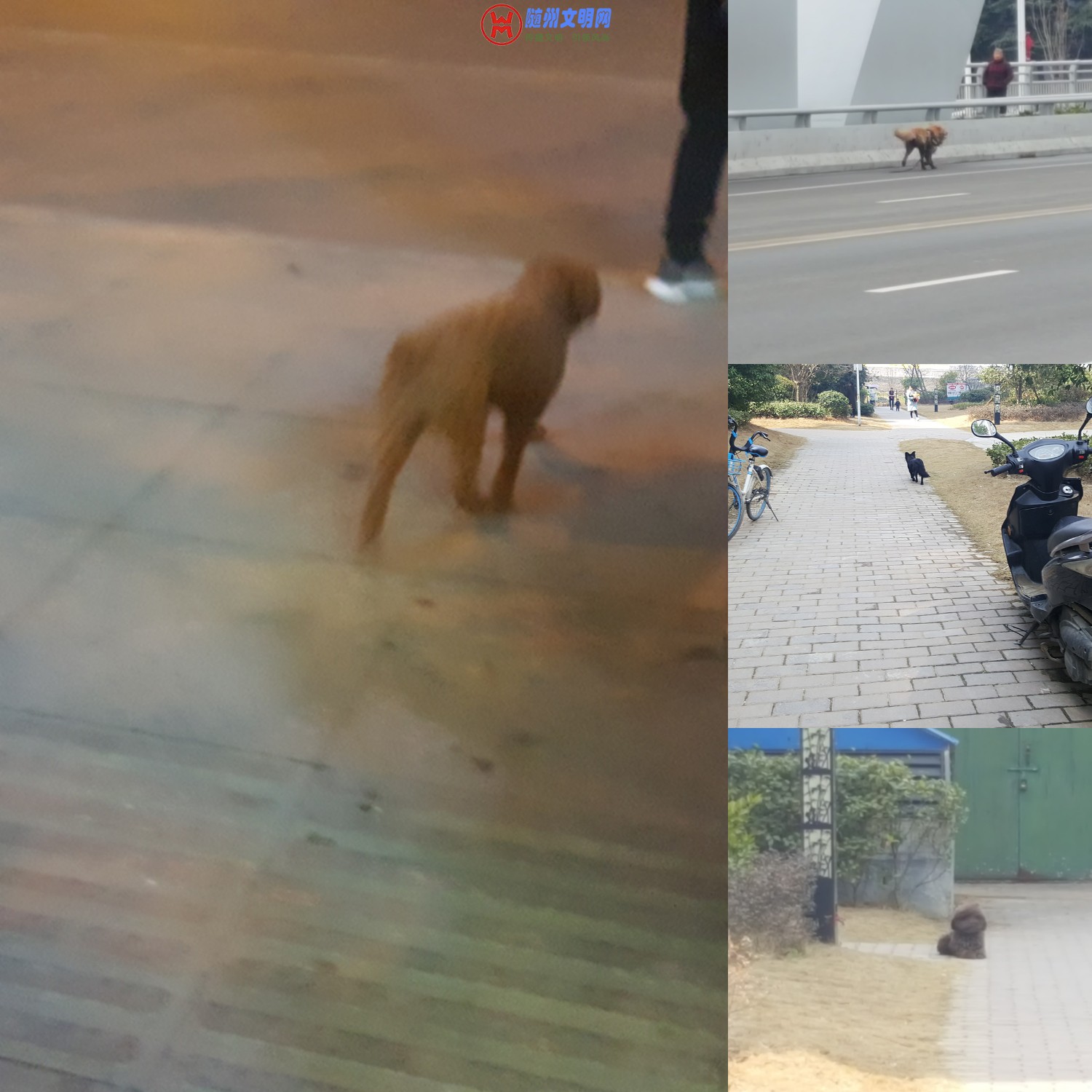 ΢ͼƬ_20190326164941.jpg