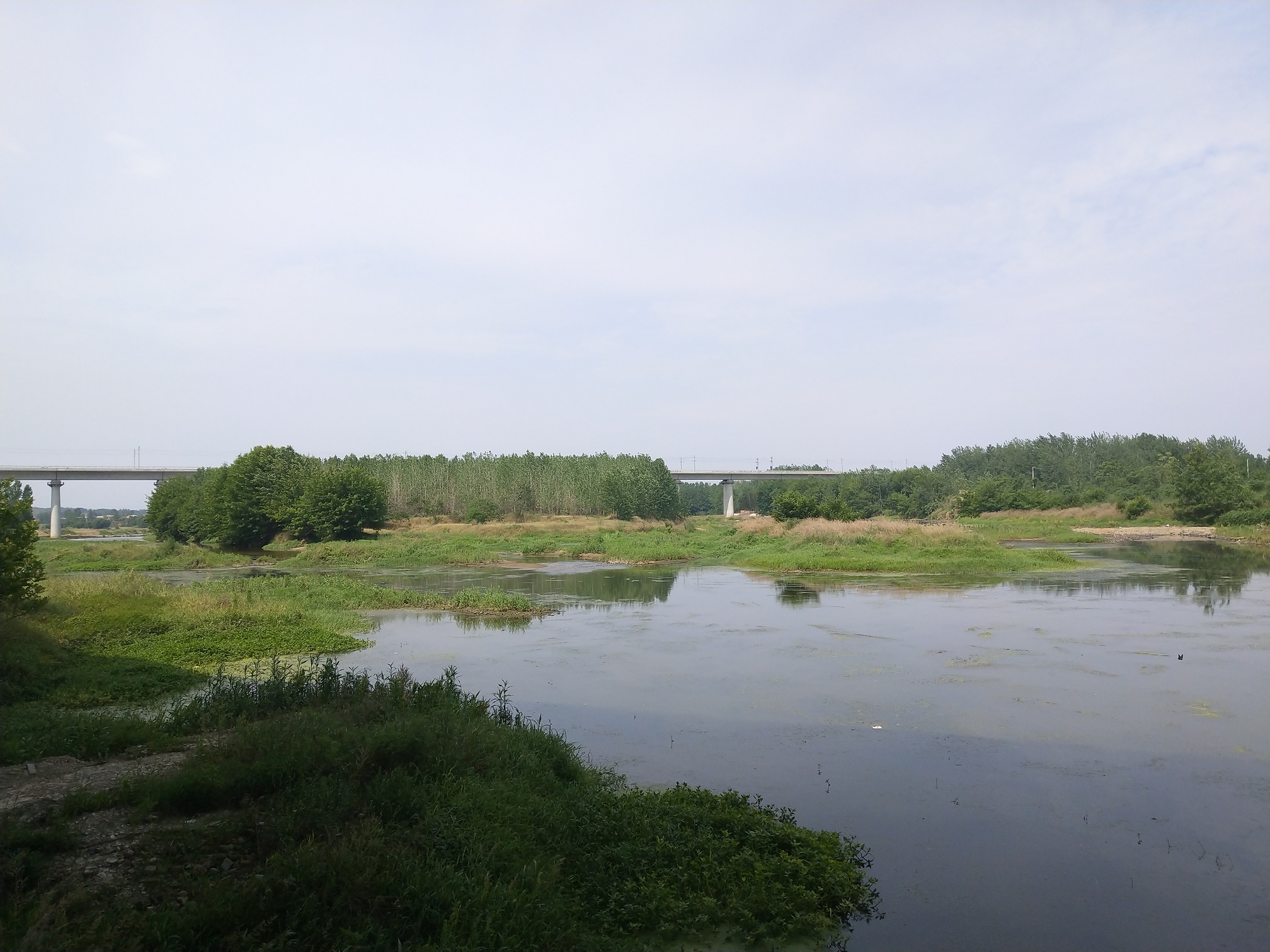 IMG_20190528_100026.jpg