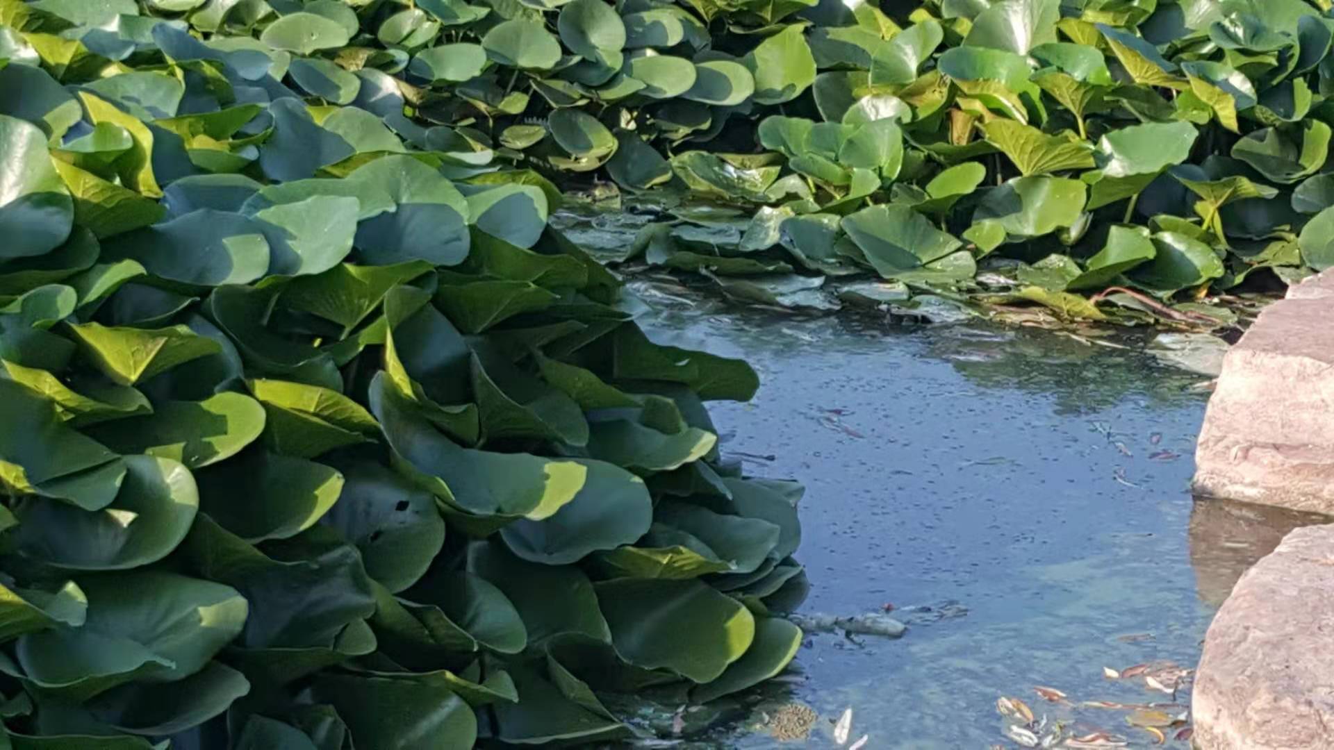 ΢ͼƬ_20190826113434.jpg
