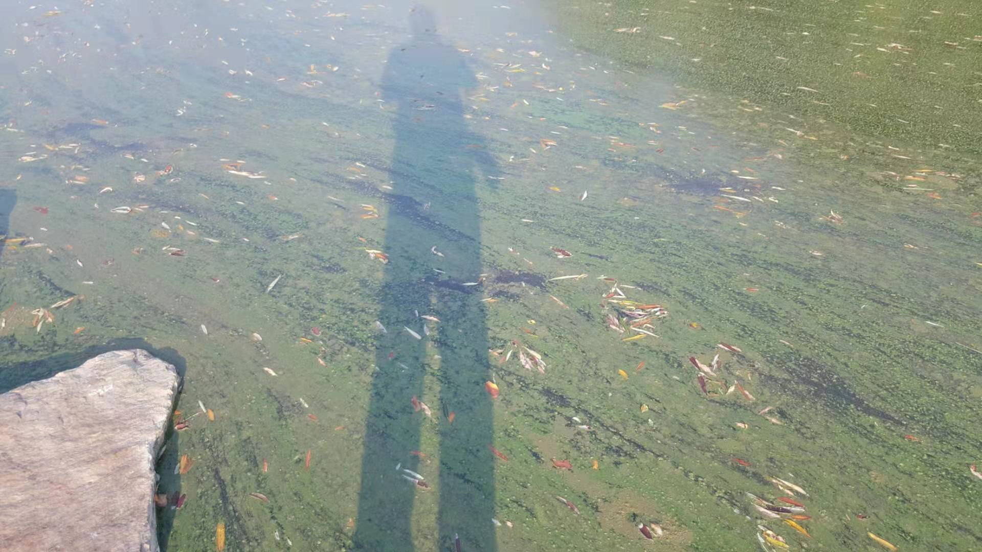 ΢ͼƬ_20190826113448.jpg