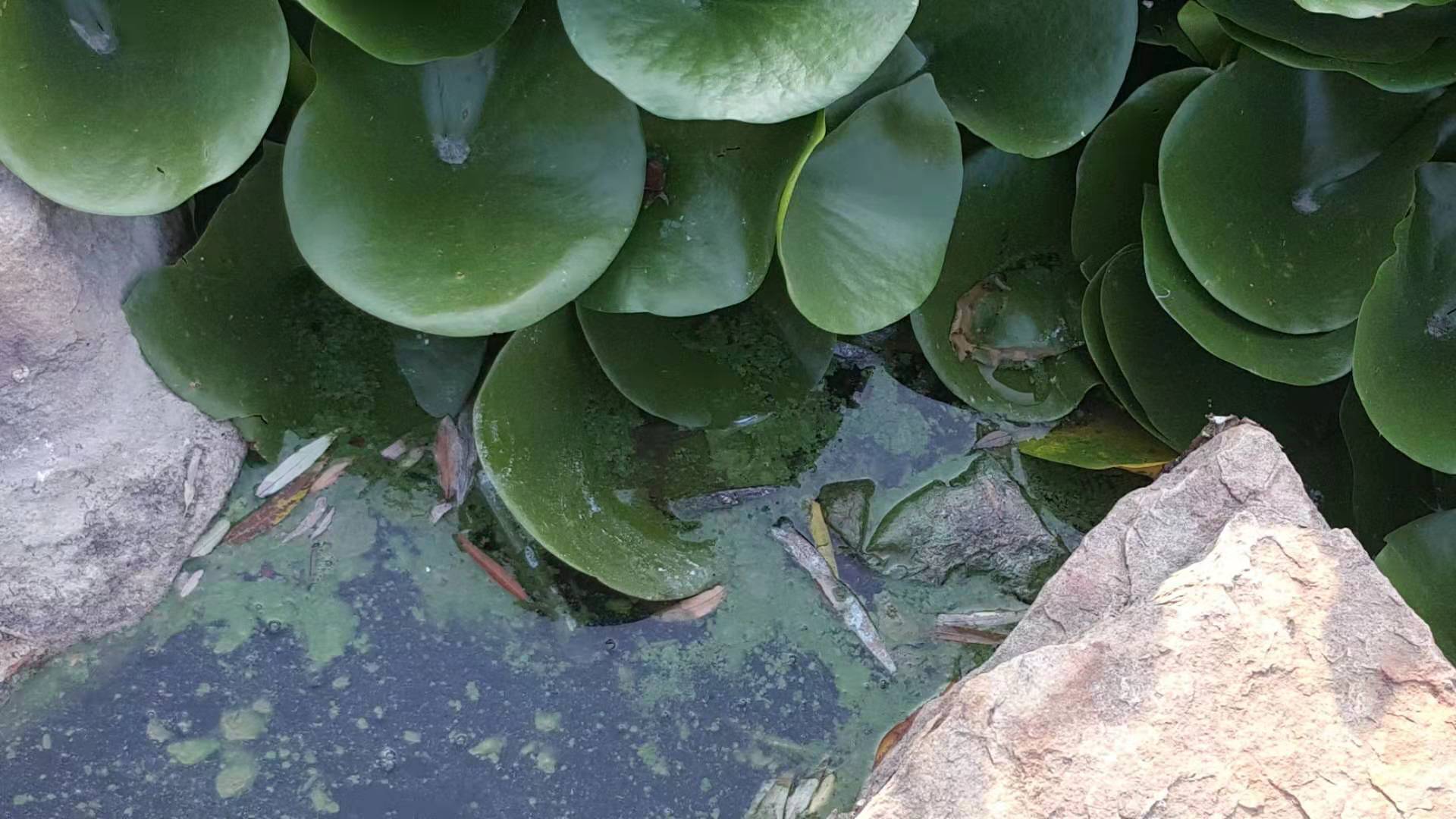 ΢ͼƬ_20190826113455.jpg