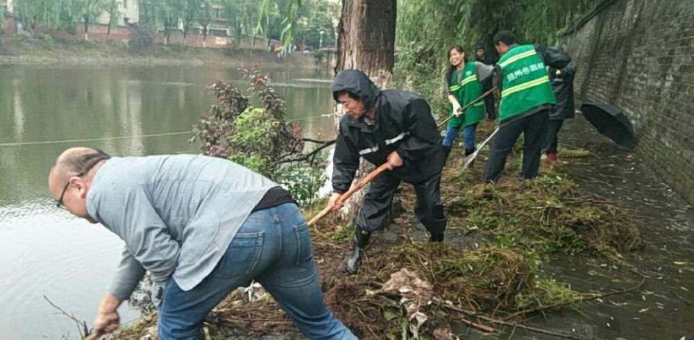6d78f47ddbe825cedc9d890e559c5bde.jpg