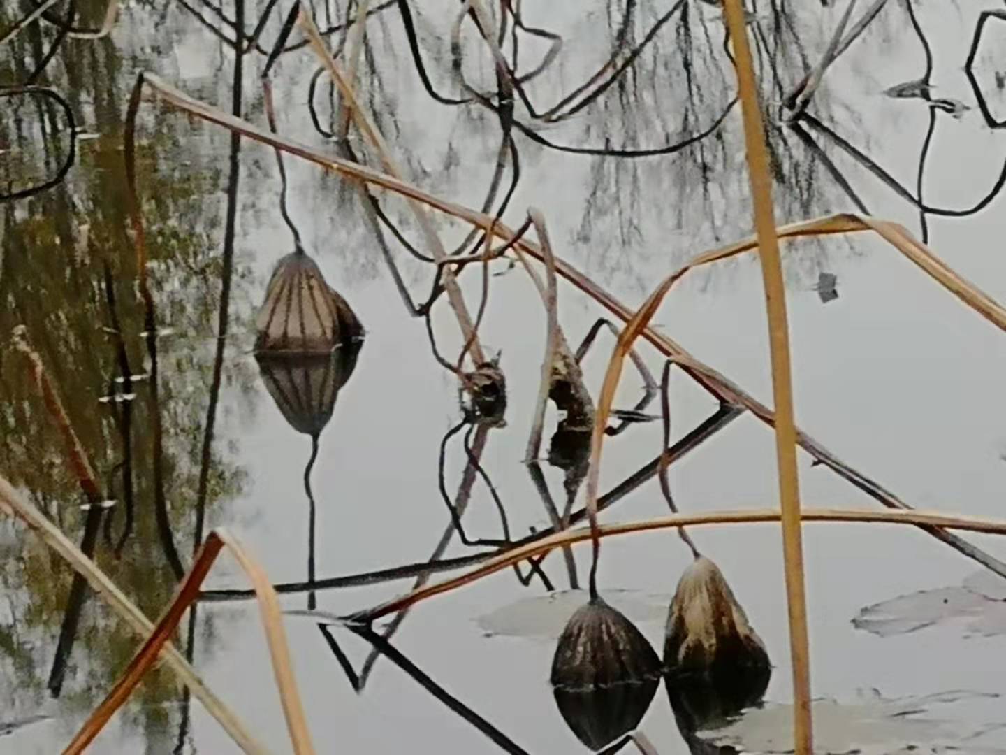΢ͼƬ_20191218111214.jpg