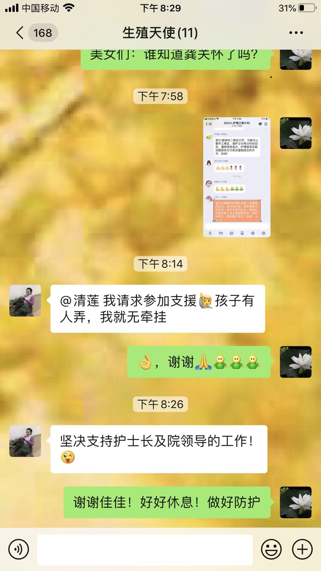 91.jpg