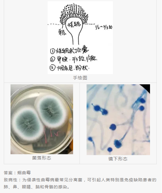 QQ截图20220415151511.png