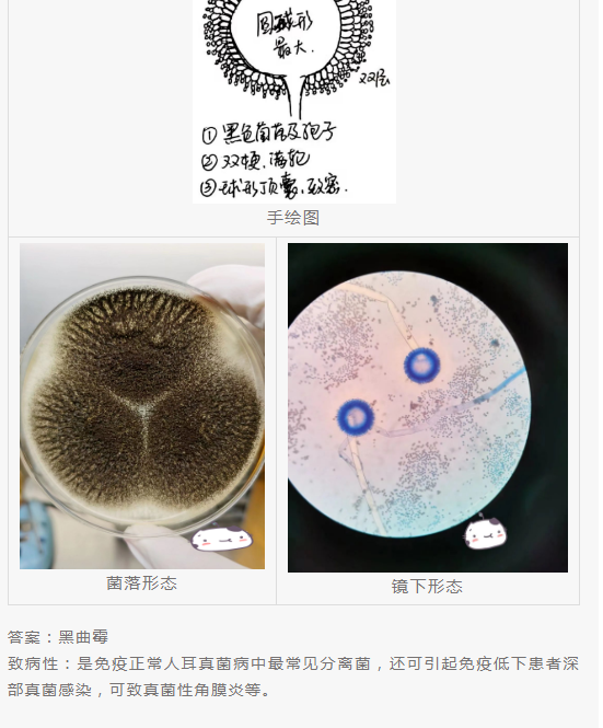 QQ截图20220415151543.png