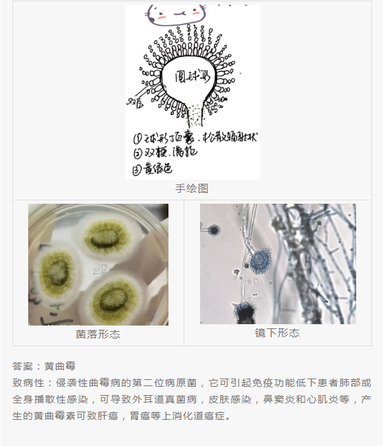 QQ截图20220415151525.png