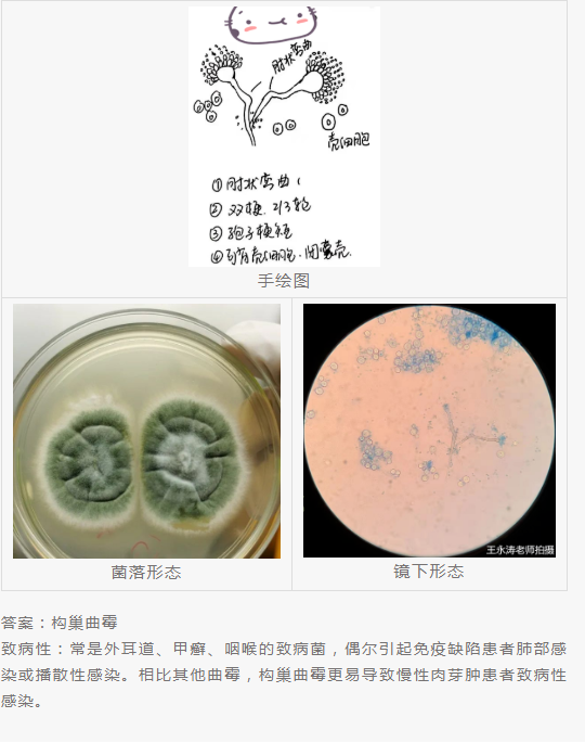 QQ截图20220415151553.png