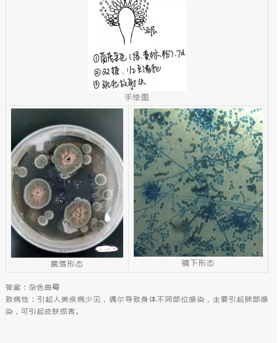 QQ截图20220415151601.png