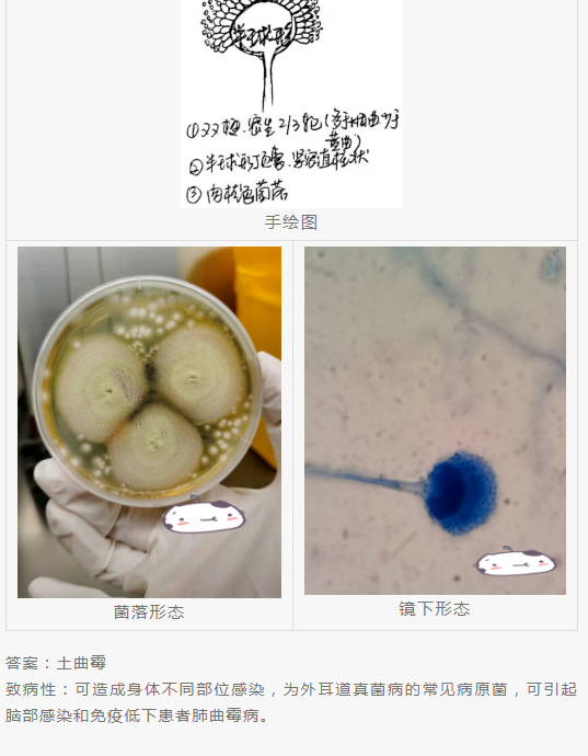 QQ截图20220415151610.png