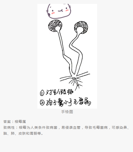 QQ截图20220415151648.png