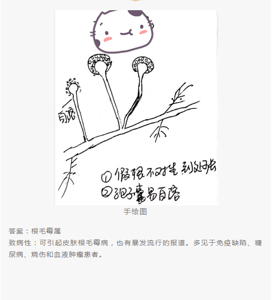 QQ截图20220415151636.png