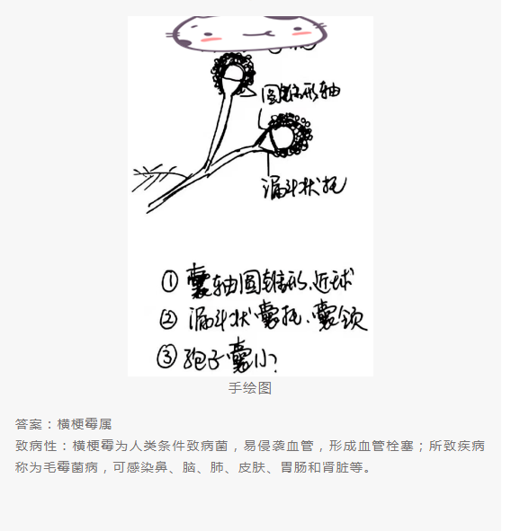 QQ截图20220415151712.png
