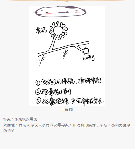 QQ截图20220415151703.png