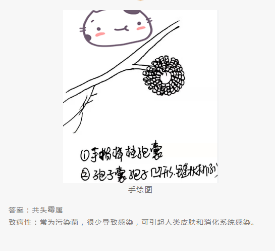 QQ截图20220415151722.png