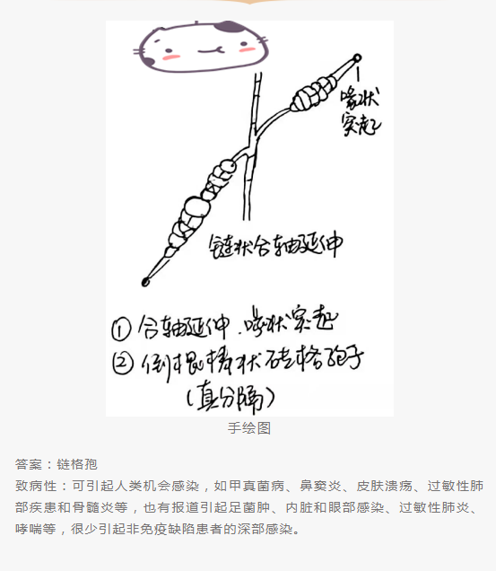 QQ截图20220415151740.png