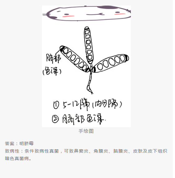 QQ截图20220415151749.png
