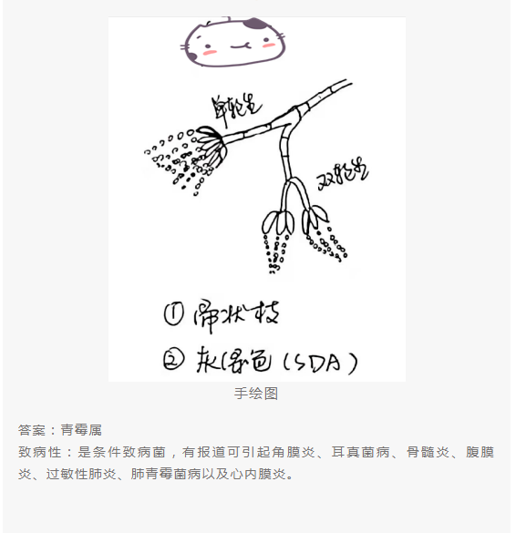 QQ截图20220415151759.png