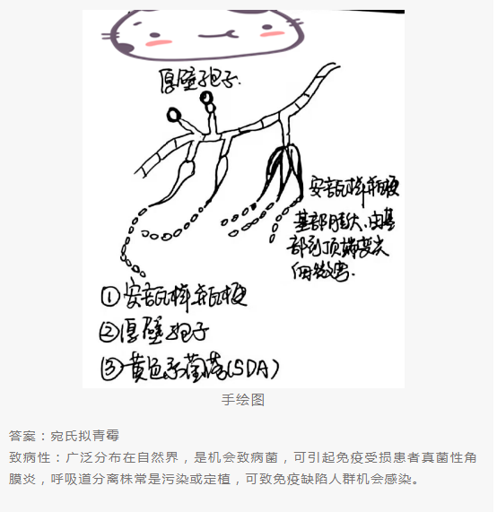 QQ截图20220415151808.png