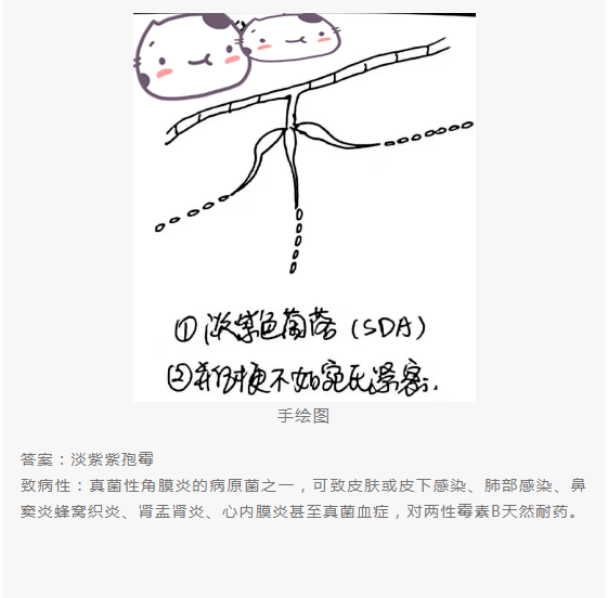 QQ截图20220415151817.png