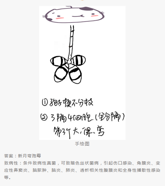 QQ截图20220415151824.png