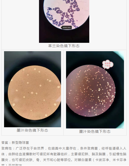 QQ截图20220415151849.png