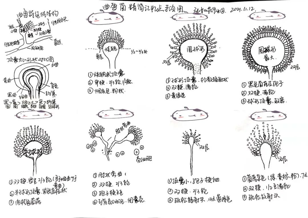 微信图片_20220415150703.jpg