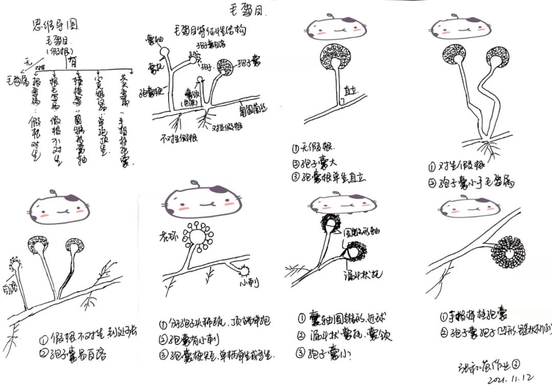 微信图片_20220415150725.jpg