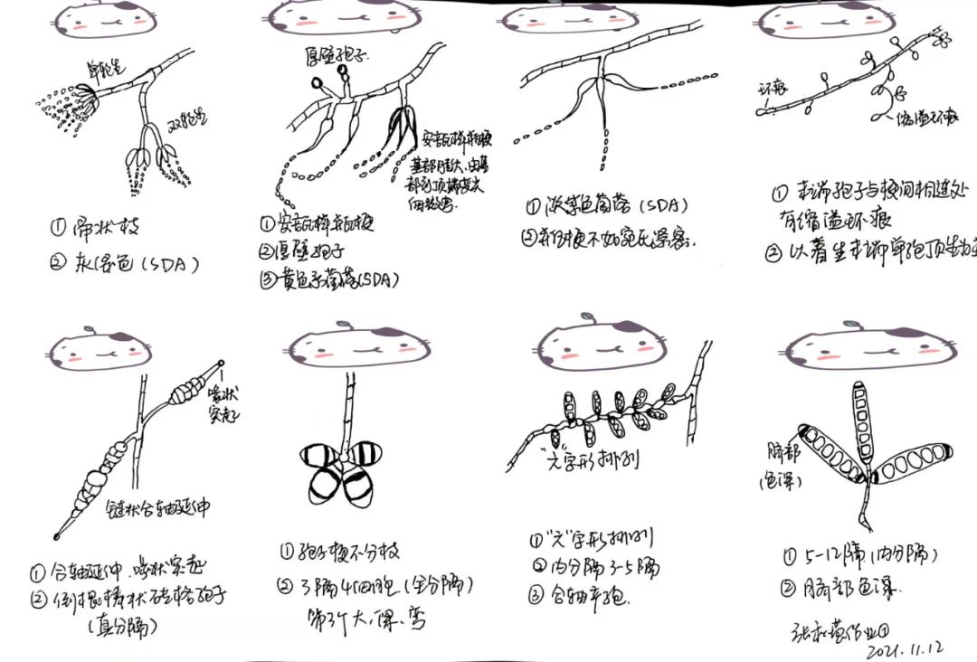 微信图片_20220415150732.jpg