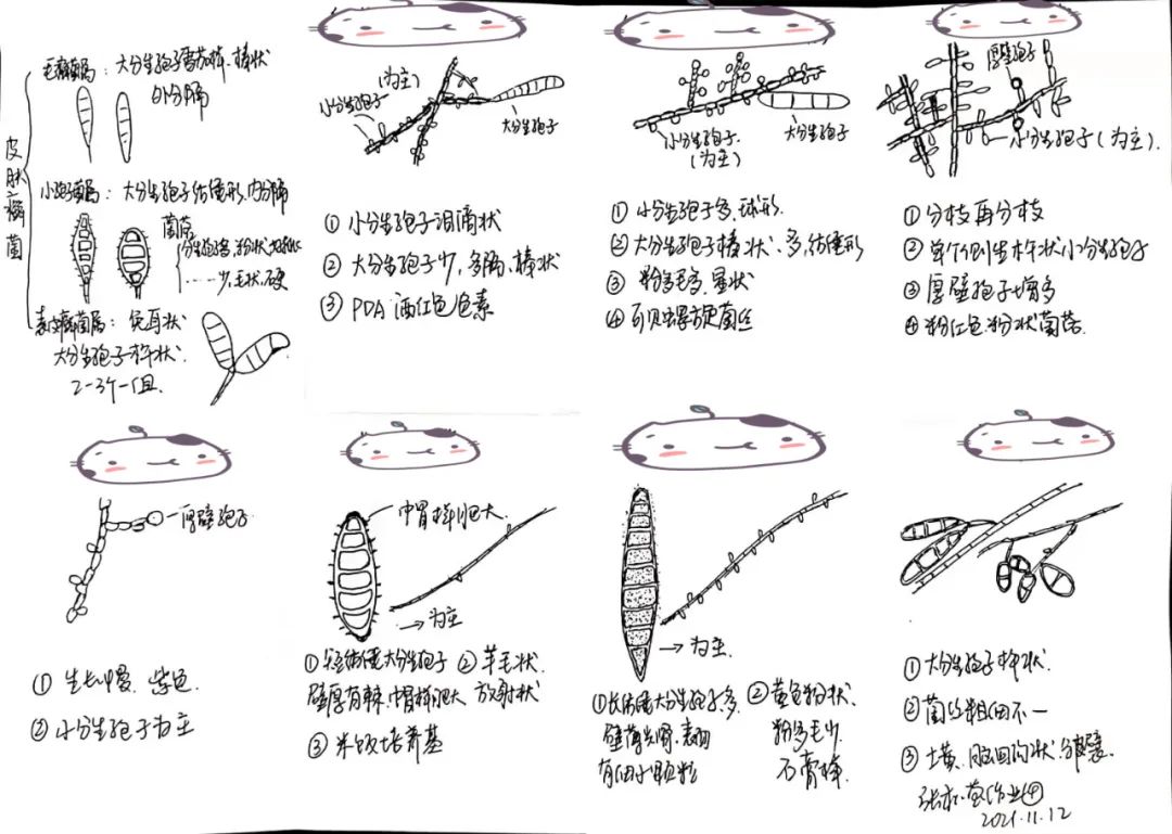 微信图片_20220415150742.jpg