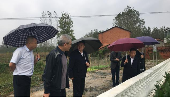 QQ截图20231008083449.png
