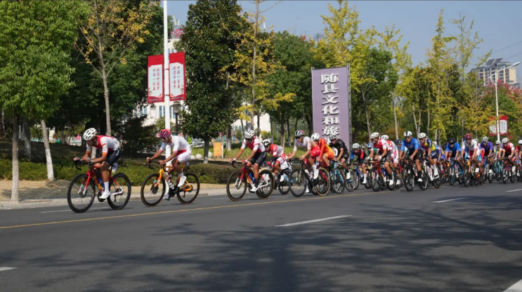 QQ20240929-160741.png
